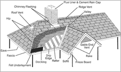Pitched Roofs - Trademark Restoration